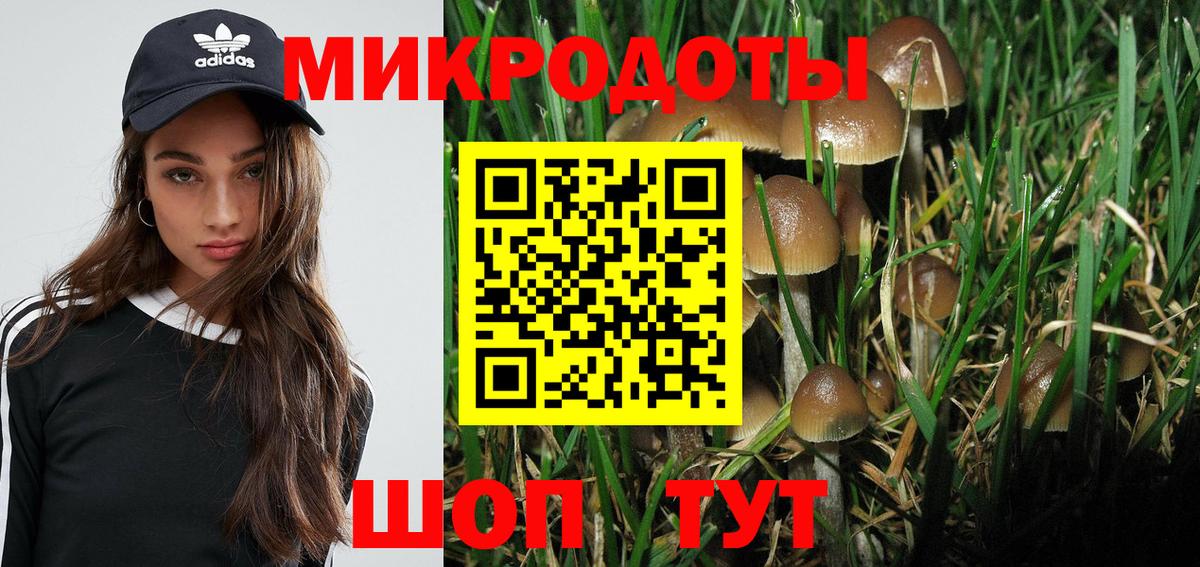 Псилоцибиновые грибы Cubensis Соликамск
