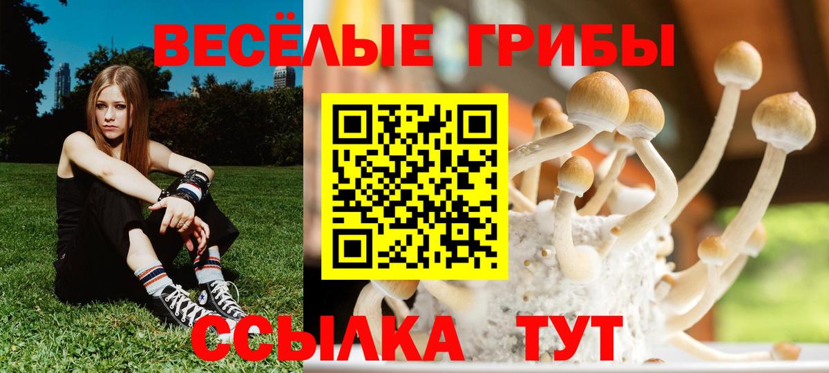 Соликамск  Псилоцибиновые грибы GOLDEN TEACHER  Псилоцибиновые грибы Magic Shrooms  Вход с VPN 